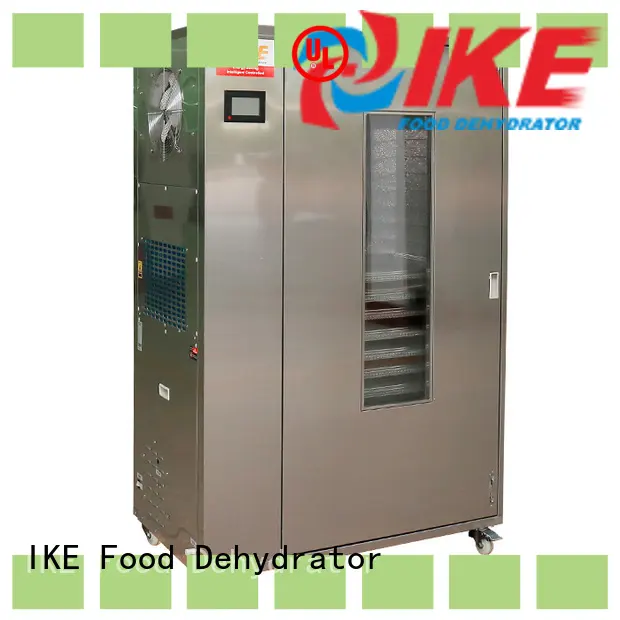 IKE best meat dehydrator middle at discount 1