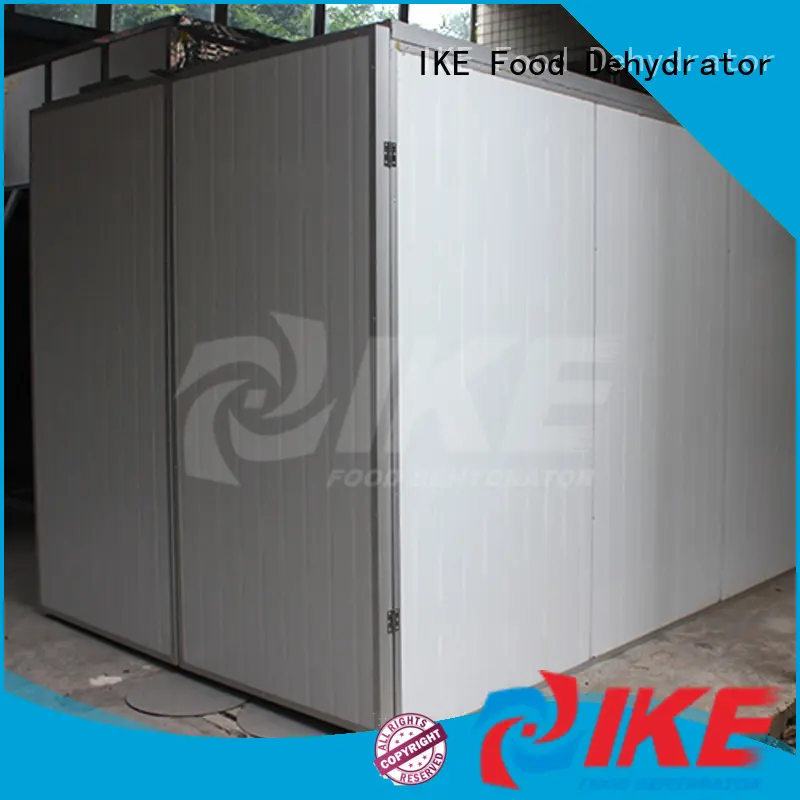 IKE fruit dryer top-selling for dehydrating 1