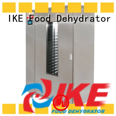 IKE drying oven at discount 1
