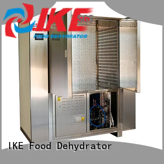 IKE mini food drying machine food machine for meat 1