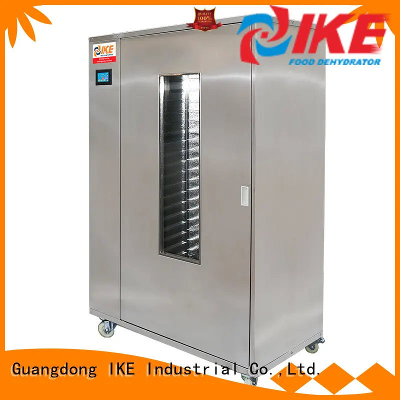 IKE meat dehydrator low-noise for oven 1