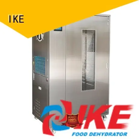IKE best meat dehydrator middle fruit 1