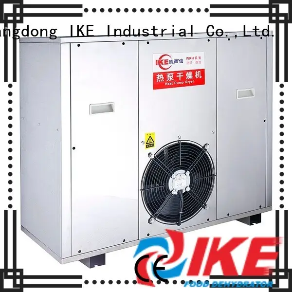 IKE stainless steel industrial dryer machine top-selling for food 1