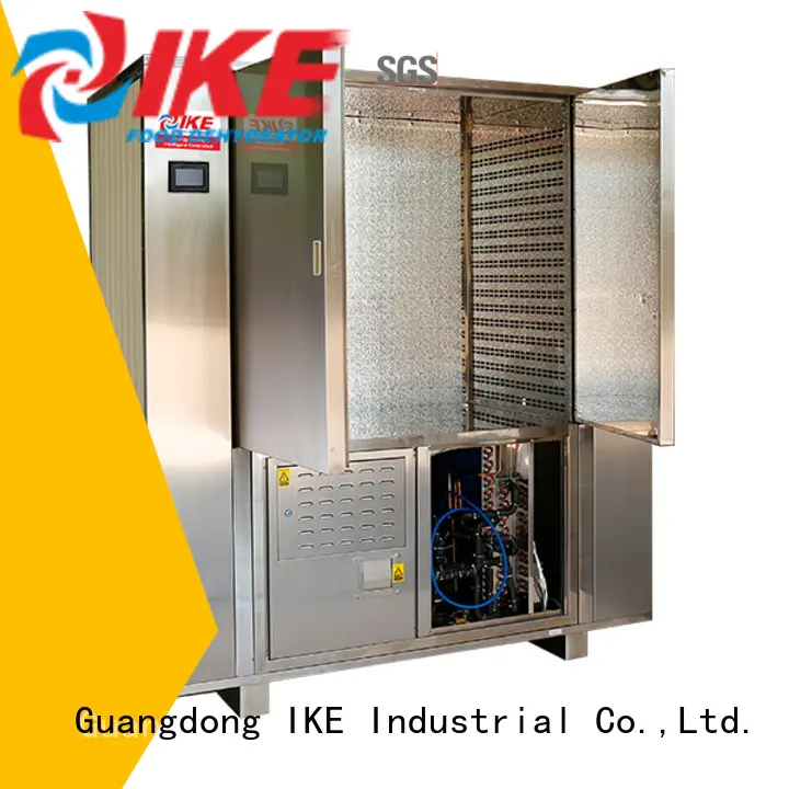 IKE cheap food dehydrator system fruit 1