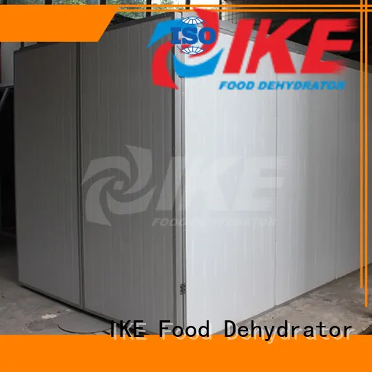 IKE stainless steel electric food dehydrator machine for food 1