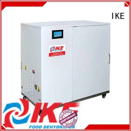 IKE chinese food dehydrator supplies middle fruit 1