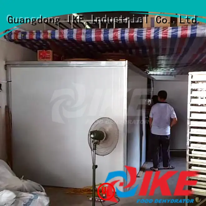 IKE commercial food dryer machine for dehydrating 1