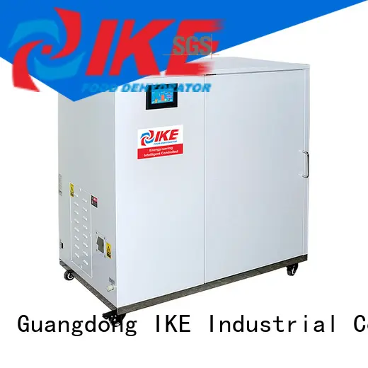 IKE chinese drying oven food machine for leave 1