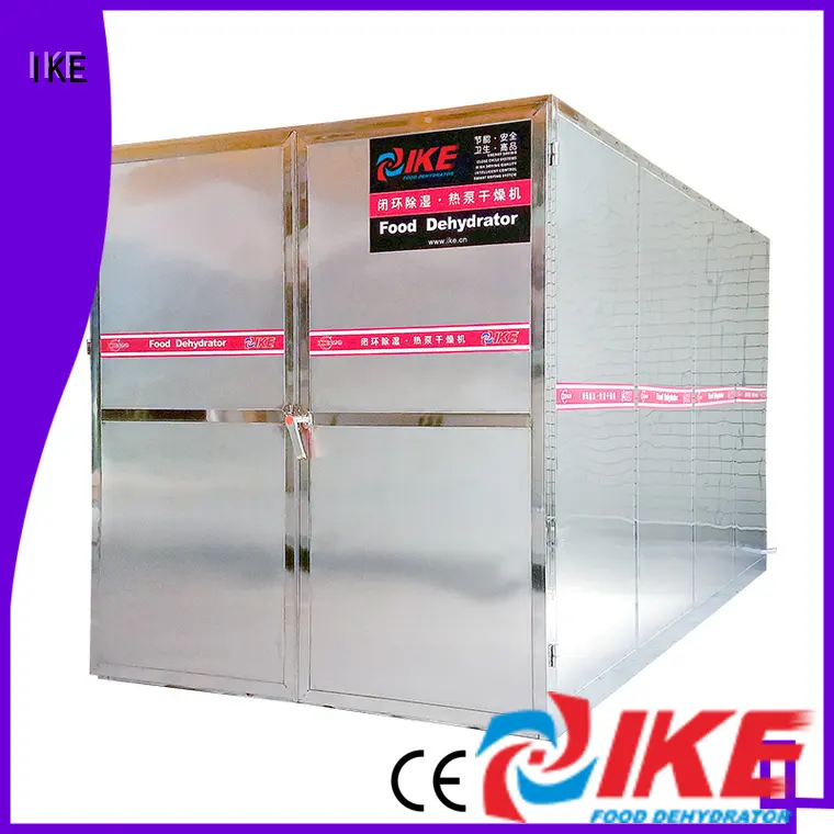 IKE cheap food dehydrator pump 1