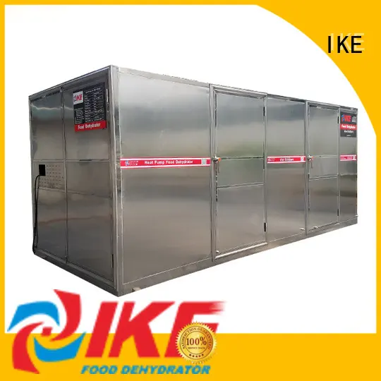 IKE electric meat dehydrator food machine for oven 1
