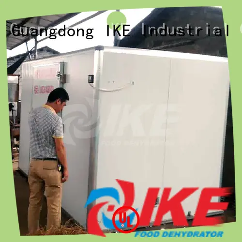 IKE commercial food drying machine for vegetable 1