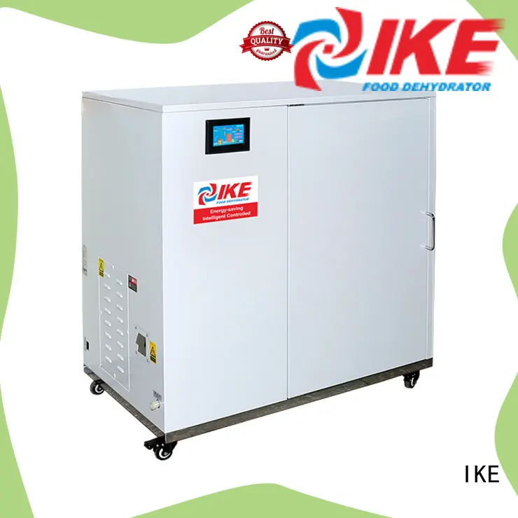 IKE chinese best meat dehydrator at discount 1