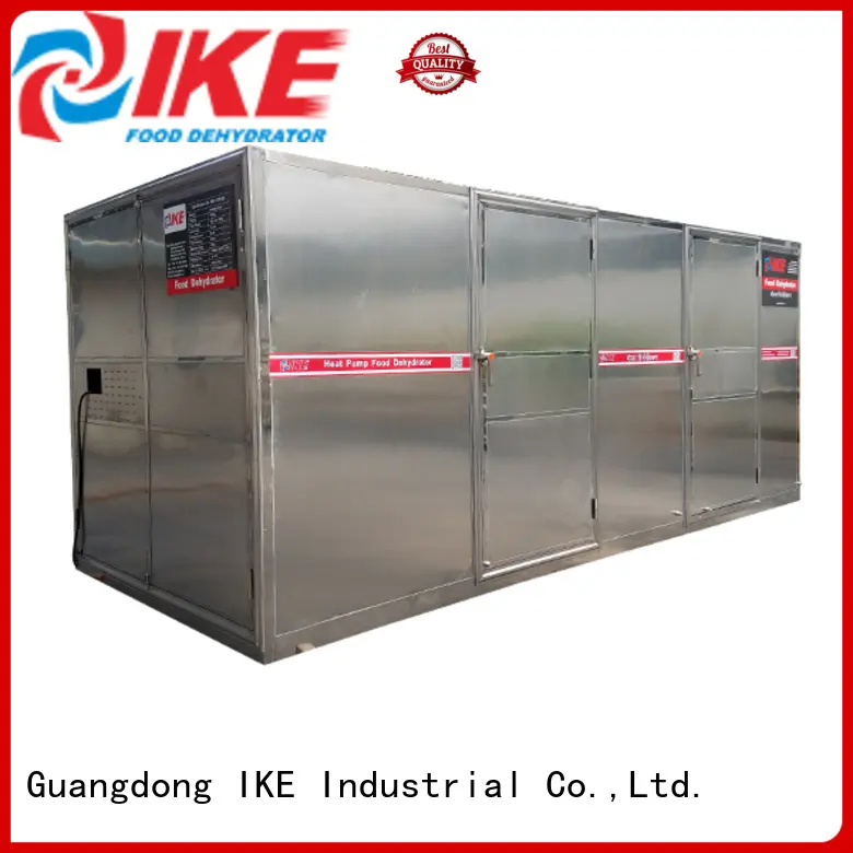 IKE chinese commercial food dehydrator low-noise for leave 1