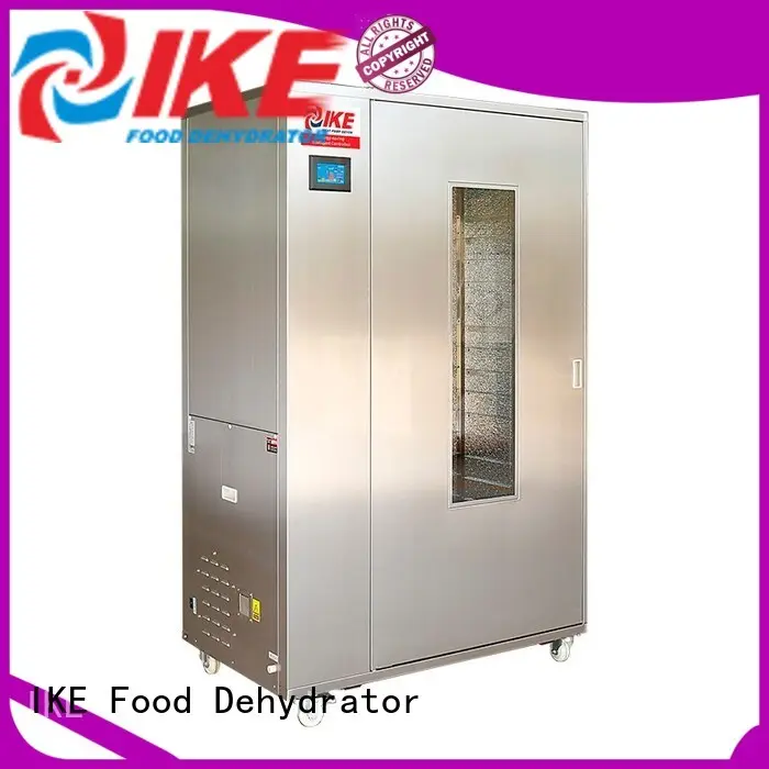 IKE drying oven multifunctional at discount 1