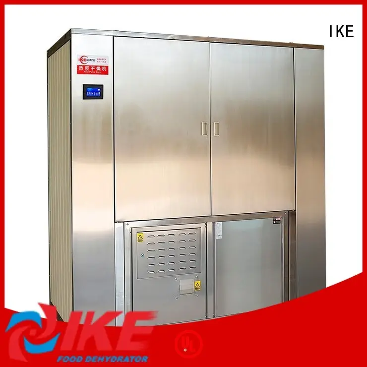 IKE best meat dehydrator fruit 1