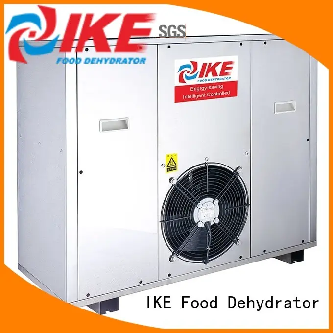 IKE fruit dryer for food 1
