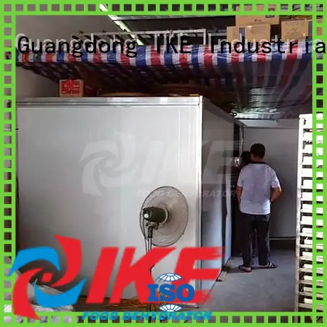 IKE electric drying chamber for food 1