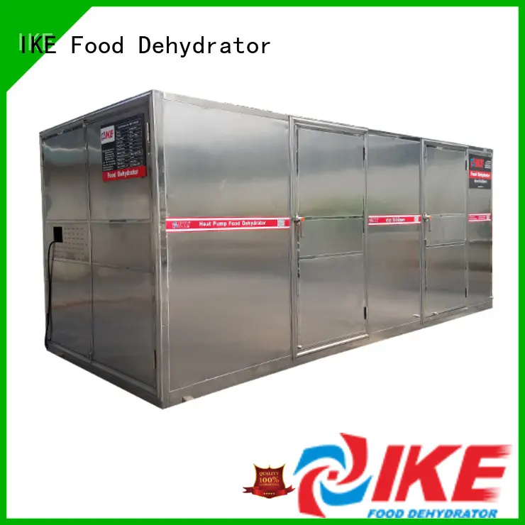 IKE mini meat dryer machine allinone at discount 1
