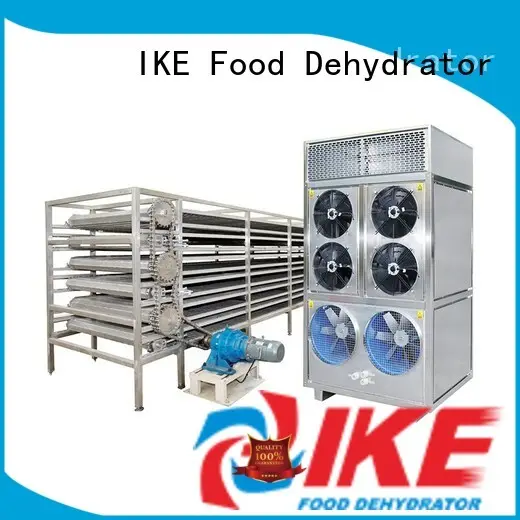 IKE cheap steel conveyor belt commercial for fruit 1