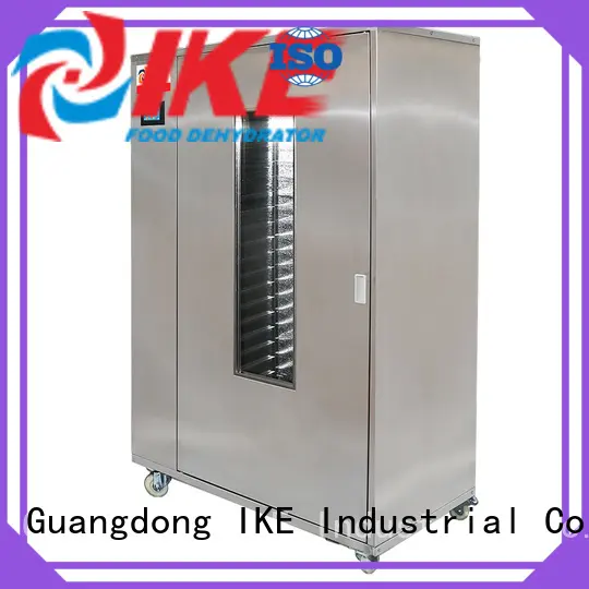 IKE mini large dehydrator multifunctional at discount 1