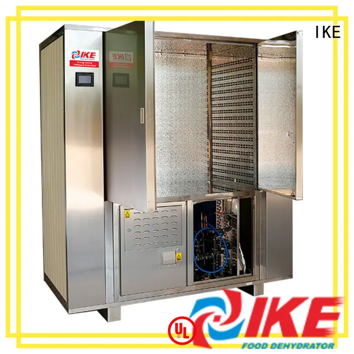 IKE drying oven for leave 1