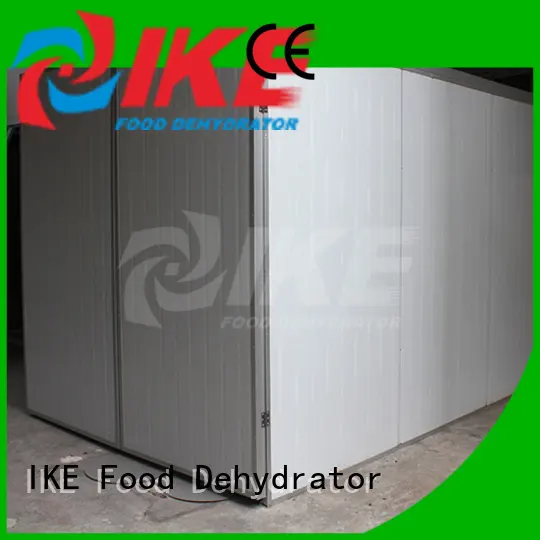 IKE stainless steel drying chamber dryer equipment for dehydrating 1