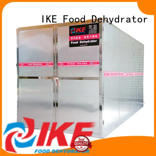IKE chinese meat dryer machine allinone for vegetable 1