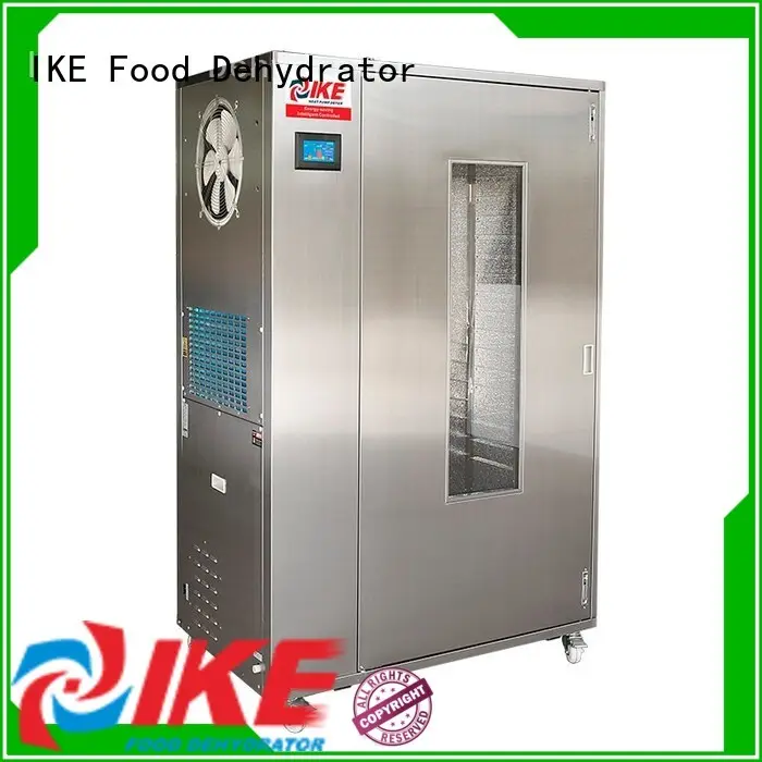 food-grade food drying machine multifunctional system for leave 1