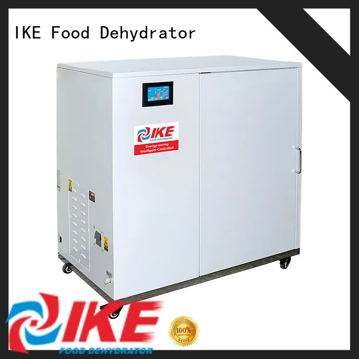 IKE large dehydrator stainless steel pump 1