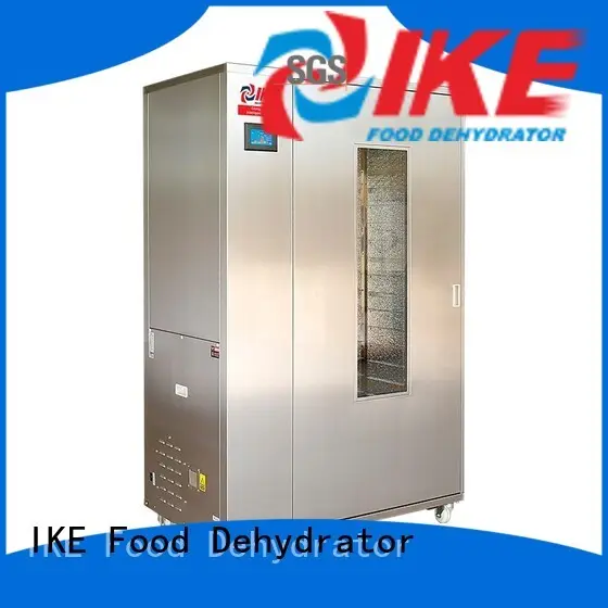 IKE meat dryer machine stainless steel pump 1