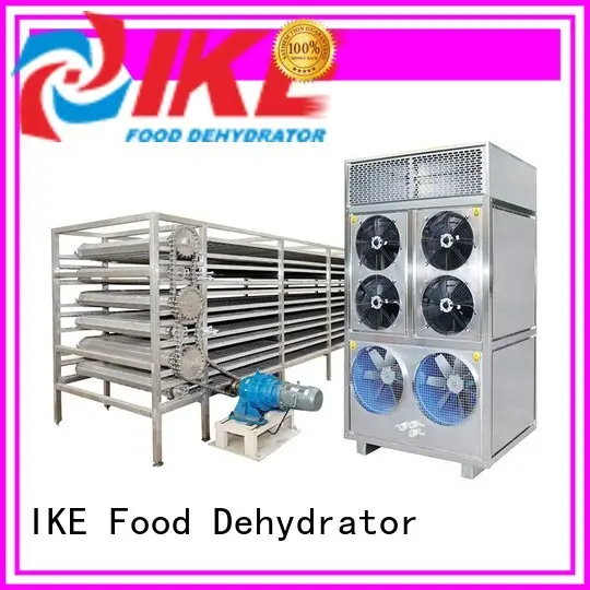 IKE stainless steel conveyor hot-sale for fruit1 1