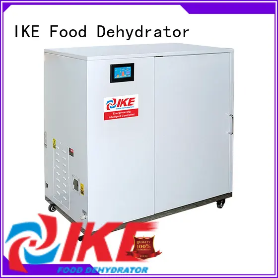 IKE large dehydrator enegy-saving for leave 1