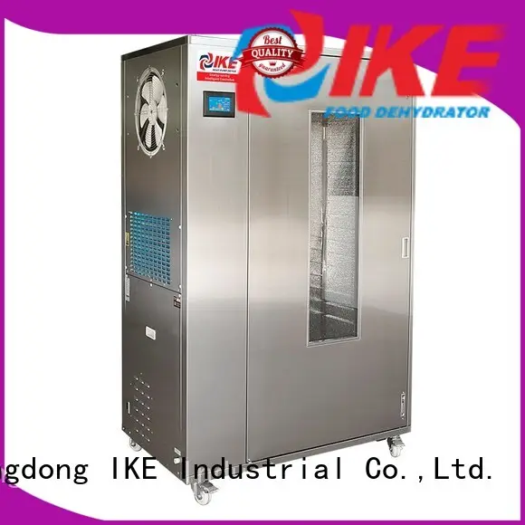 low-noise meat dehydrator multifunctional system for leave 1