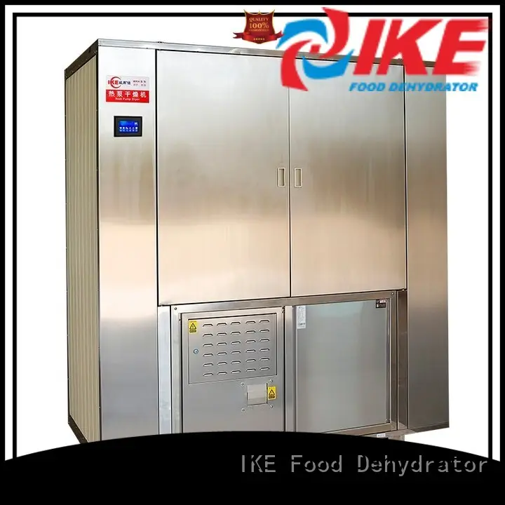 IKE meat dryer machine stainless steel fruit 1