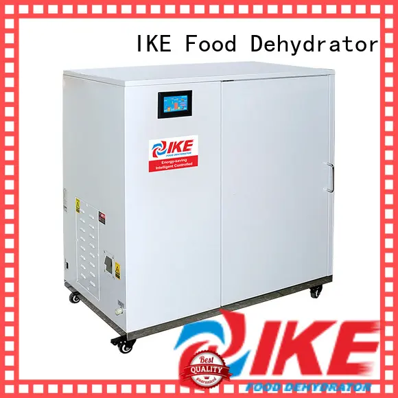 IKE low-noise large dehydrator multifunctional system for leave 1