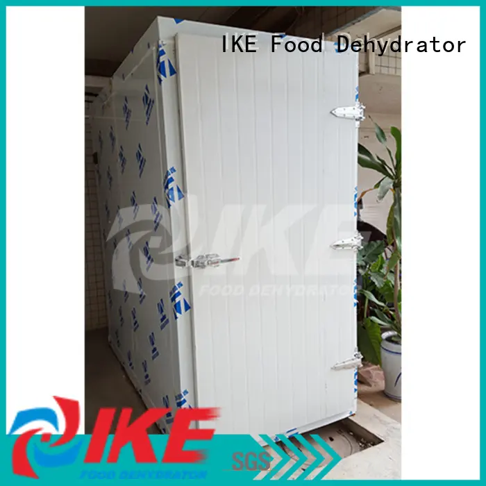 IKE best dehydrator australia easy-installation for vegetable 1