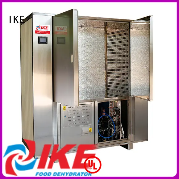 IKE low-noise drying oven stainless steel at discount 1