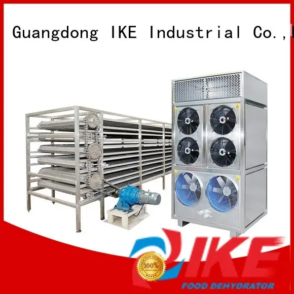 IKE drying line hot-sale for food1 1