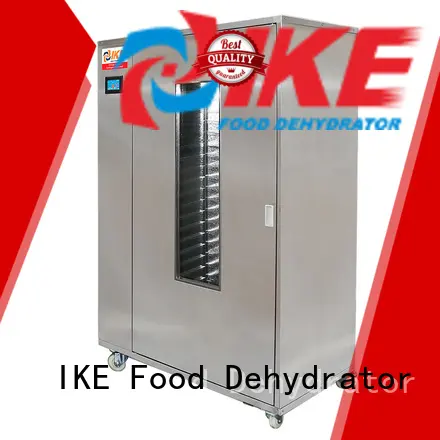 IKE food-grade food dryer dehydrator enegy-saving pump 1