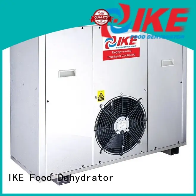 IKE best affordable dehydrator easy-installation for beef 1