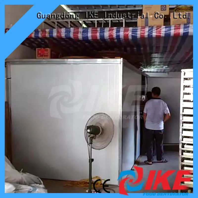 IKE commercial food dryer machine top-selling fruit 1