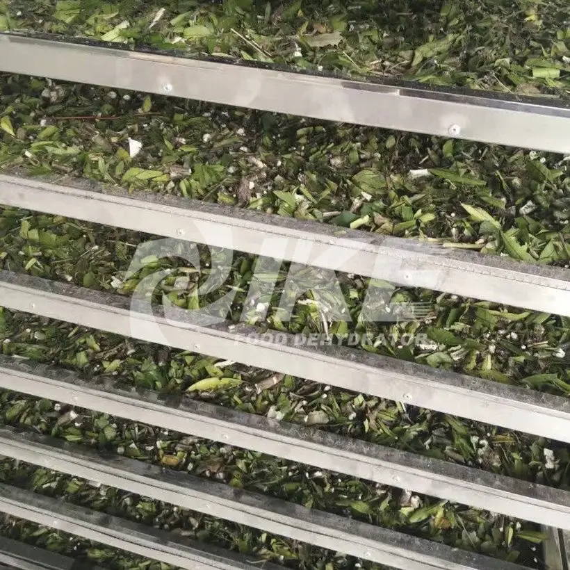 industrial food dehydrator What Are the Balls on a Rose Bush Called After the Flower Falls Off?