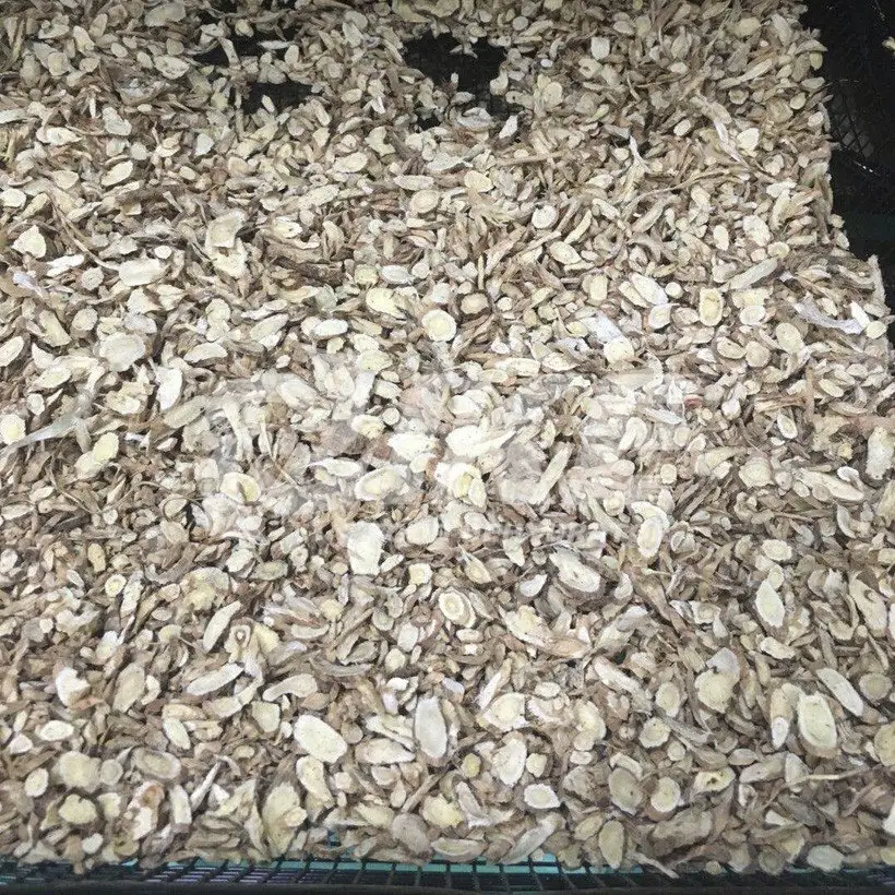litter boxes  -  cheap plastic trays