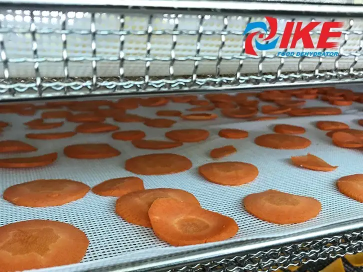 food dehydrator buying tips and uses  -  where can i buy a dehydrator