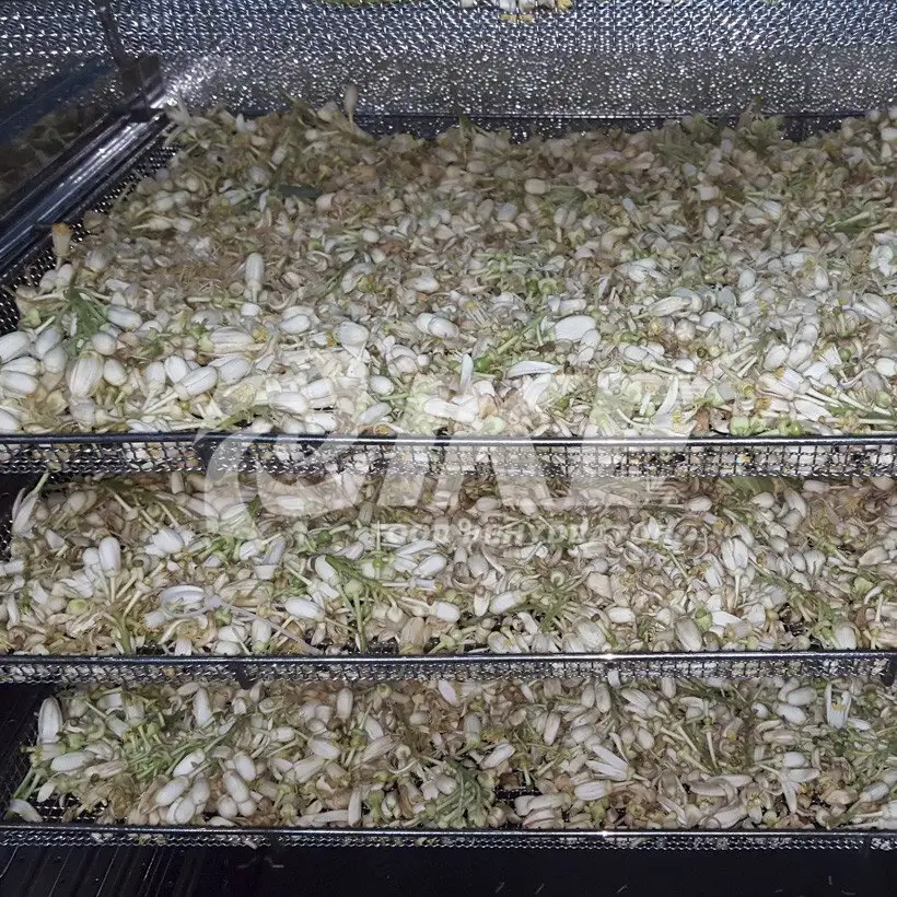 food dehydrator - where and how to buy  -  where to buy food dehydrator