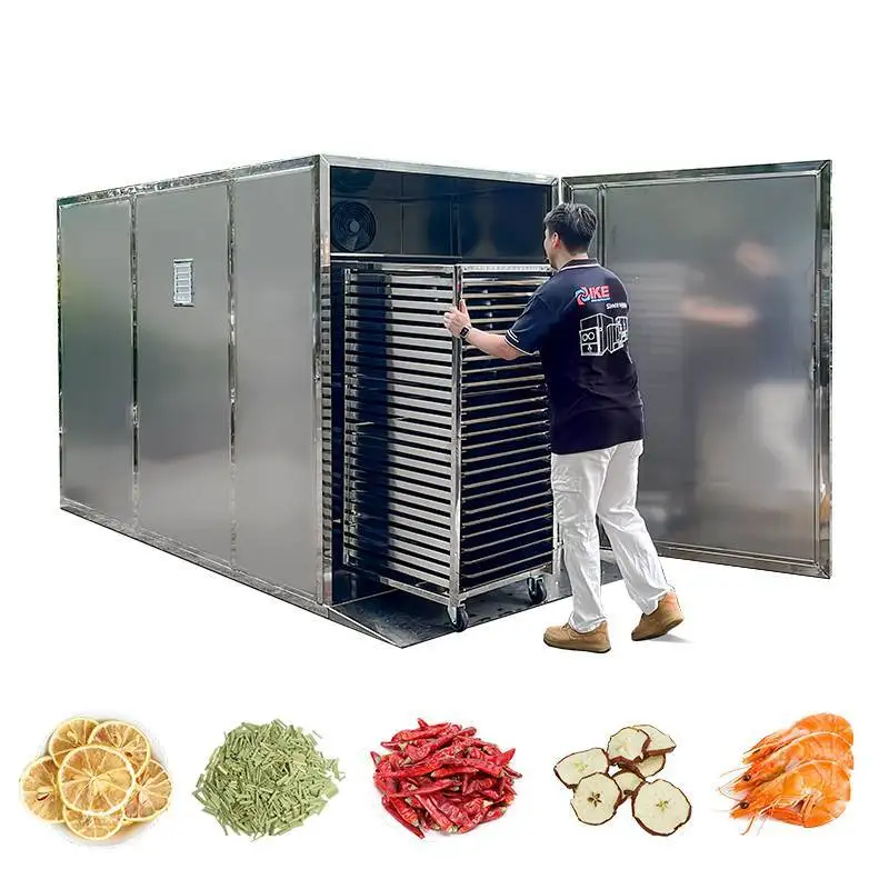 Equipamento de secagem comercial AIO-DF300T para frutas e vegetais 1