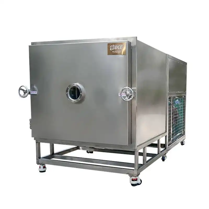FVD-C30 Industrial Large Freeze Dryer Machine from China 1