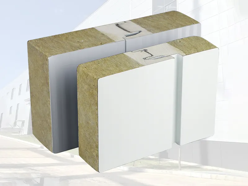 Modular Clean Room Wall Panels - - SAMZOON 3