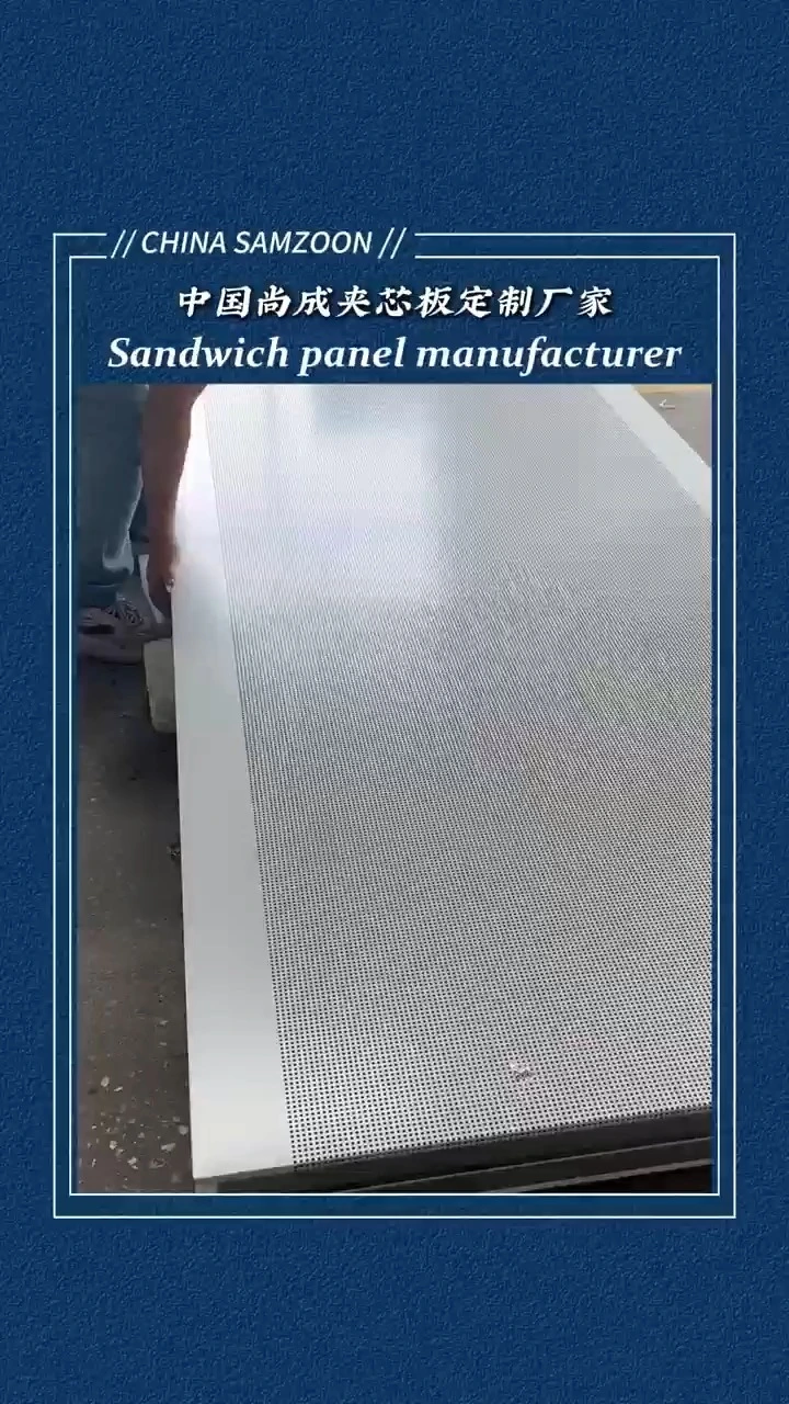 Samzoon Rockwool Sound Assorbing Planels صفان من الثقوب المثقبة السطح المعدني 1