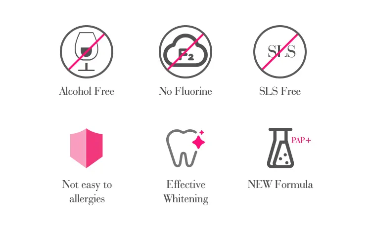 GlorySmile Sonic Electric Toothbrush IPX7 Cleaning for Men and Women Adult Non-Rechargeable Soft Fur Full-Automatic Waterproof109 3